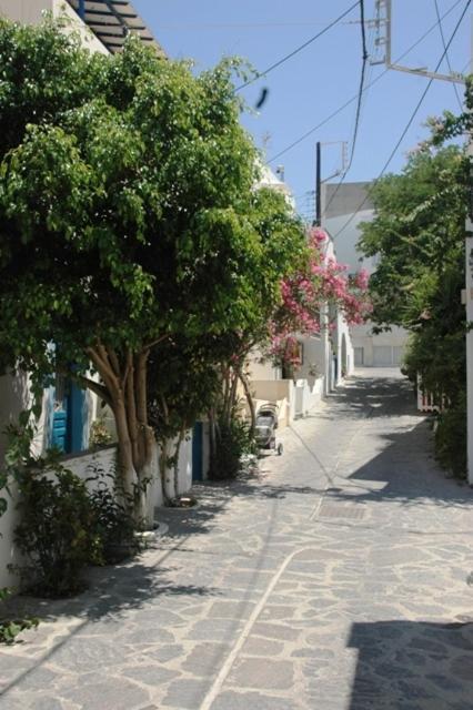 Hotel Anixis Resort Naxos City Exterior photo
